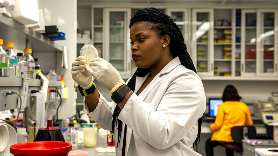 summer research program scholar in a laboratory