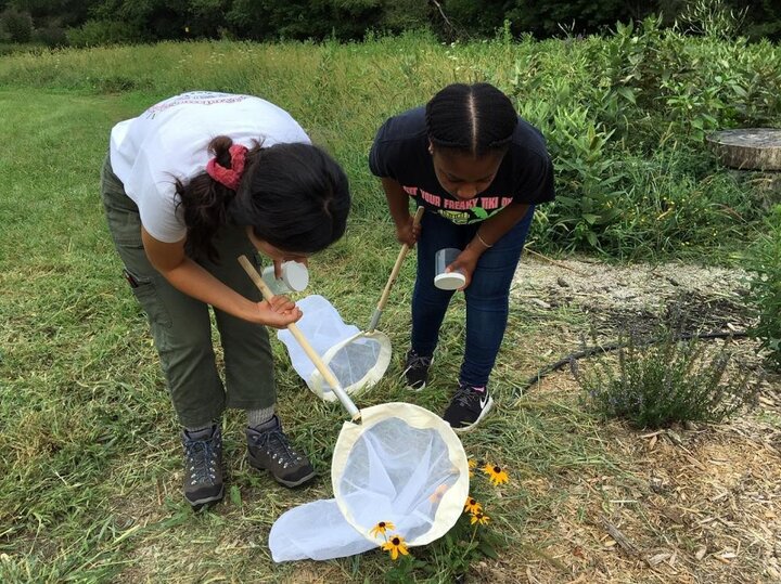 REEU students work in the field