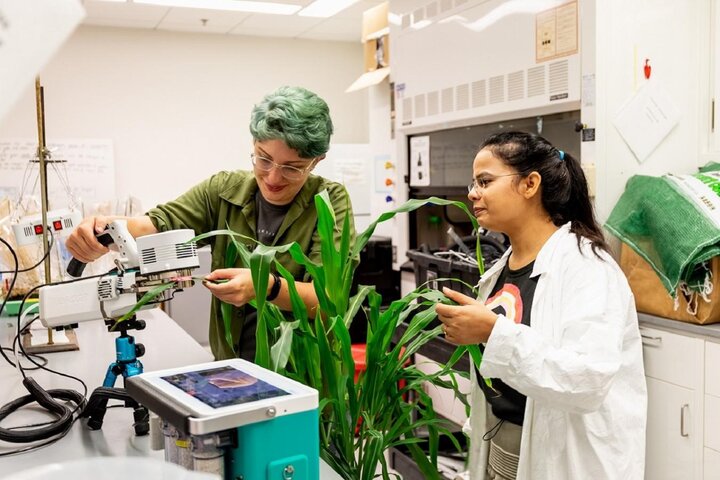 Scholars working with plants